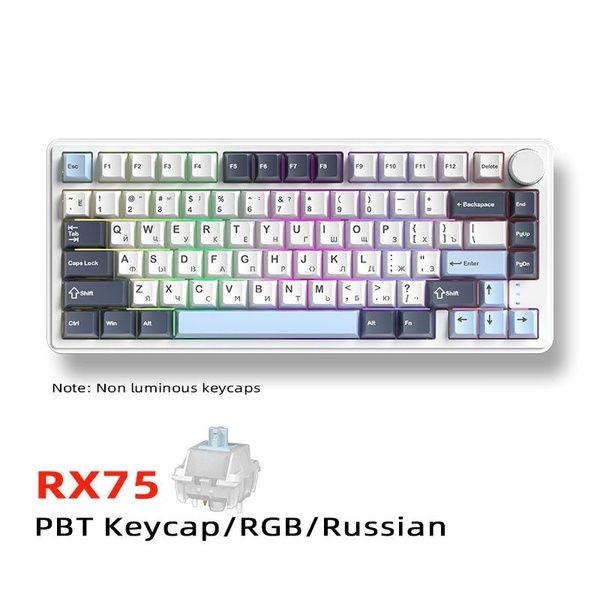 Klaviatura Zifriend RX75