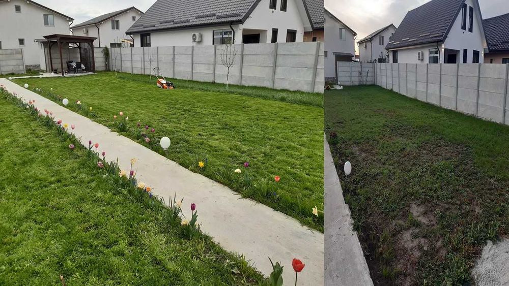 Intretinere gradini si spatii verzi