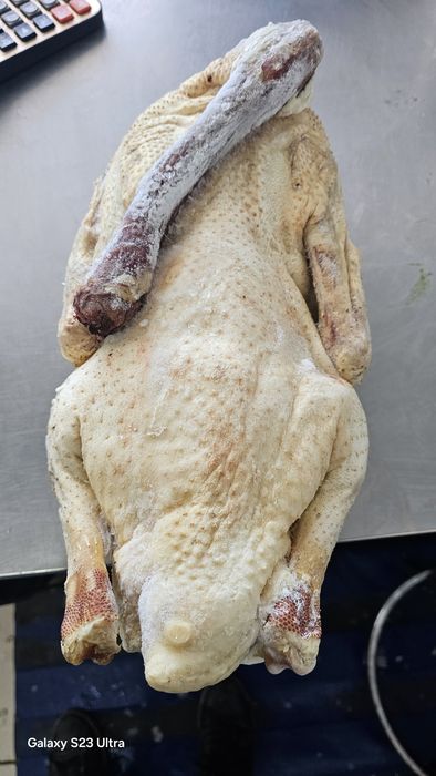 Гуси замороженные