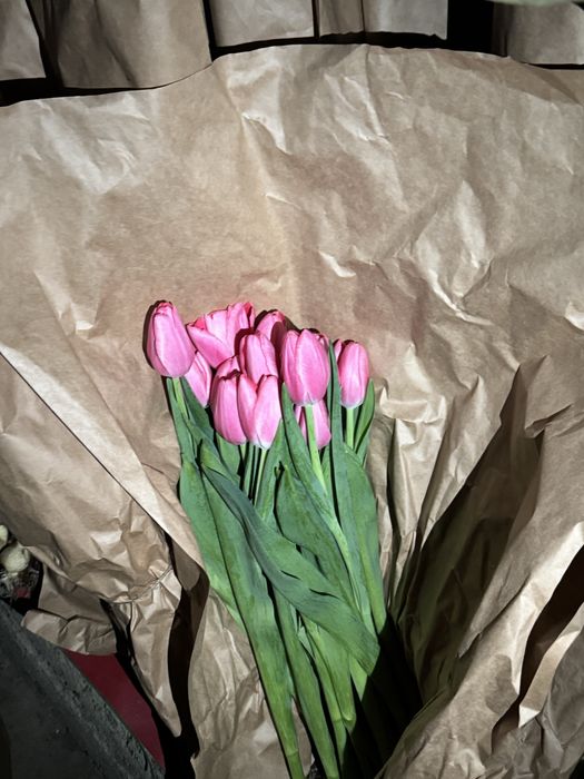 тюьпаны оптом и розницу