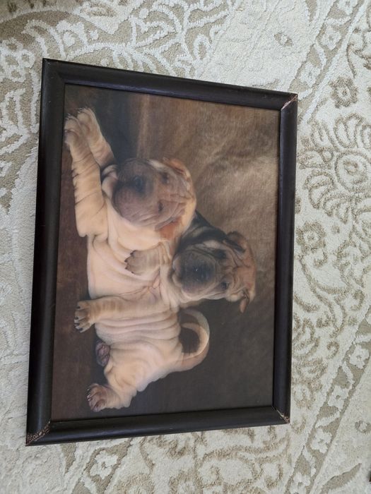 Продам картины для дома, кафе