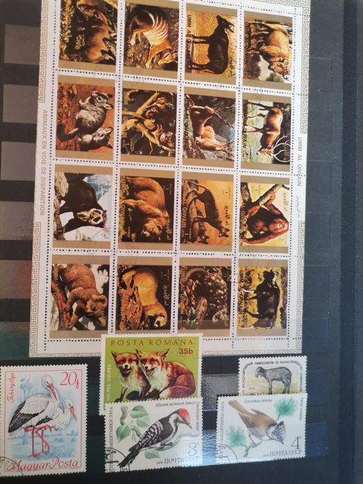 Класьори с пощенски марки