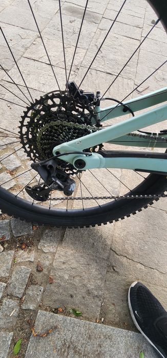 Specialized status 160