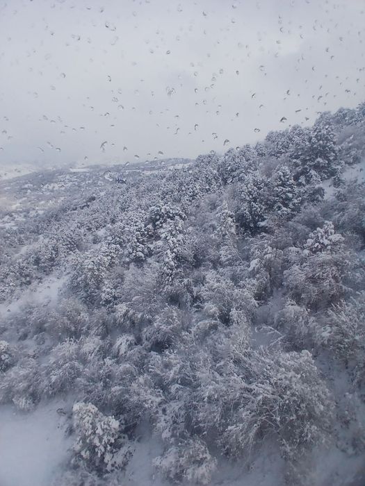 Taxi Bochka amirsoy Chimyon Parkent soʻqoq boʻstoliqlargi Arzon sifat