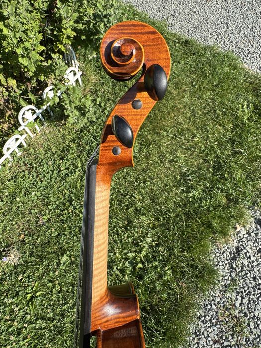 Vioară 4/4 Spate dintr-o bucată