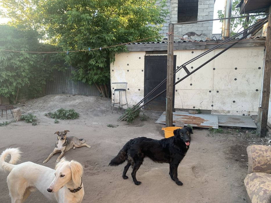 Дом 2 Павлодар 9 линия