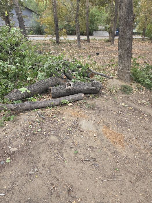Отдам дрова бесплатно
