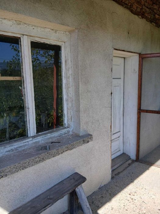 2бр. Вили в непосредствена близост.