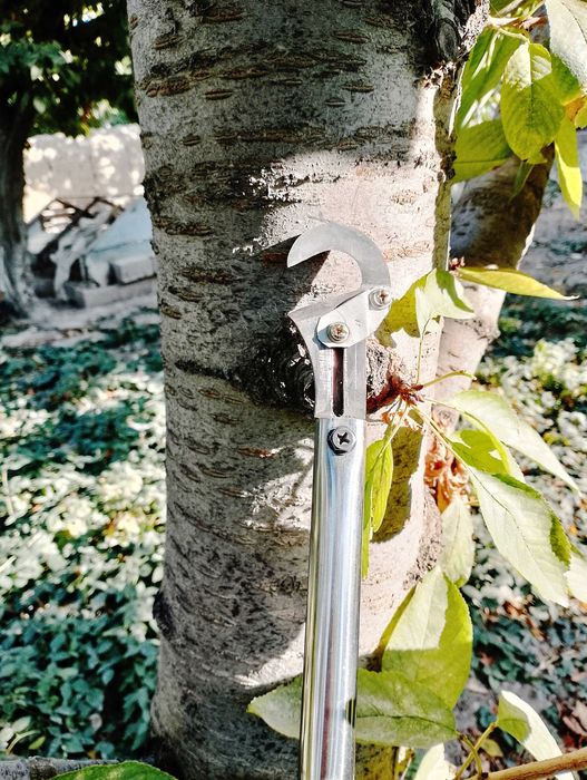 Юқоридаги шохлар ва гул буталари учун секатор.