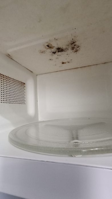 Продам СВЧ элемберг