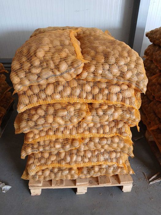 Cartofi de samanta Riviera+Carera