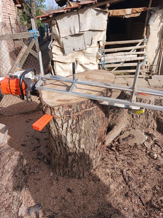 Разбичване на трупи на място