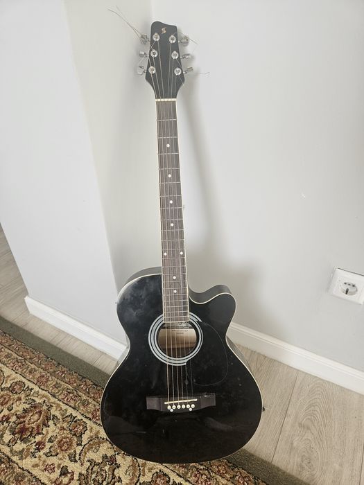 трансаккустика Stagg