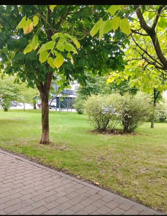 Apartament 3 camere decomandate, spațios și liniștit – Bd. Păcurari, lângă OMV/Kaufland