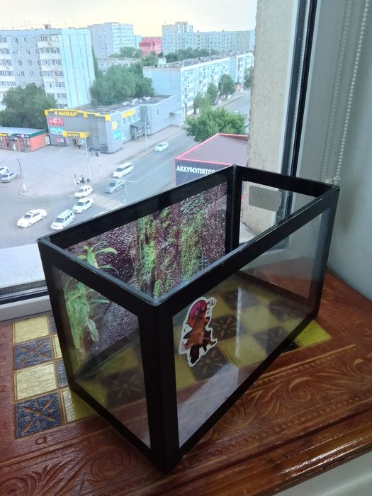Аквариум для рыб с наклейкой