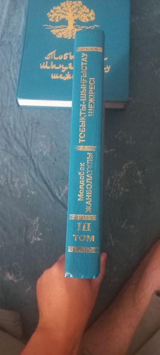Книга Тобыкты шынғыстау шежіресі