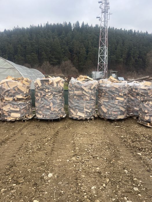 Lemn foc fag 500lei paletul