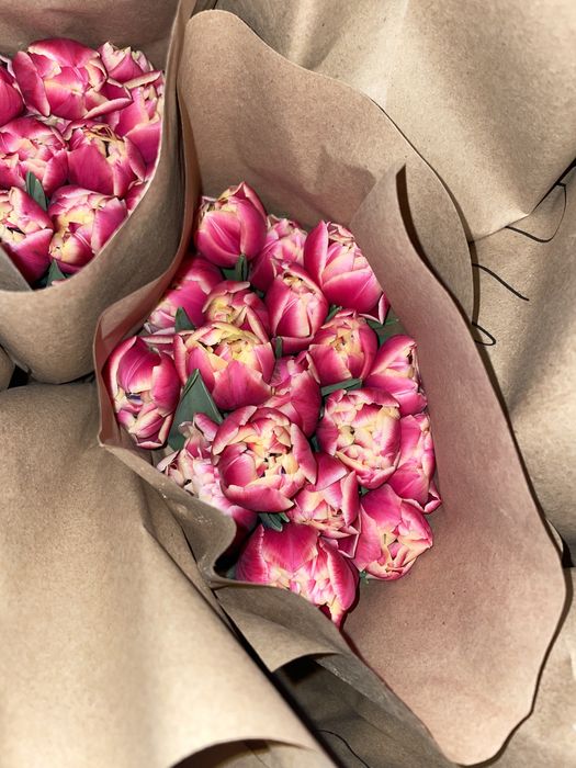 Тюльпаны гиганты 2026