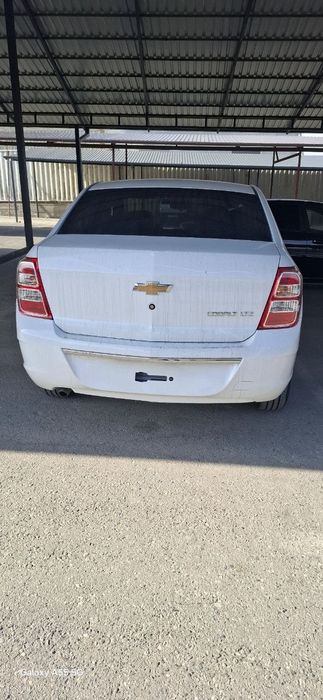 Cobalt 2025 Style salondan uyga