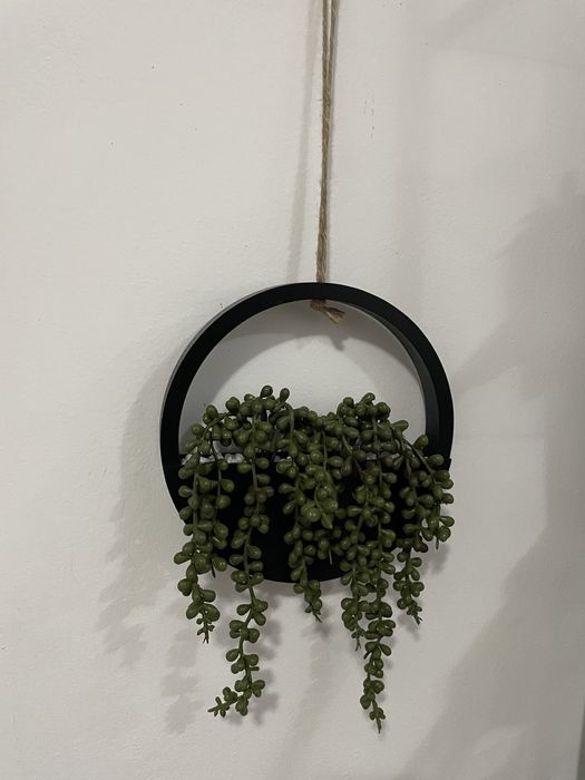 Decor plante suspendat