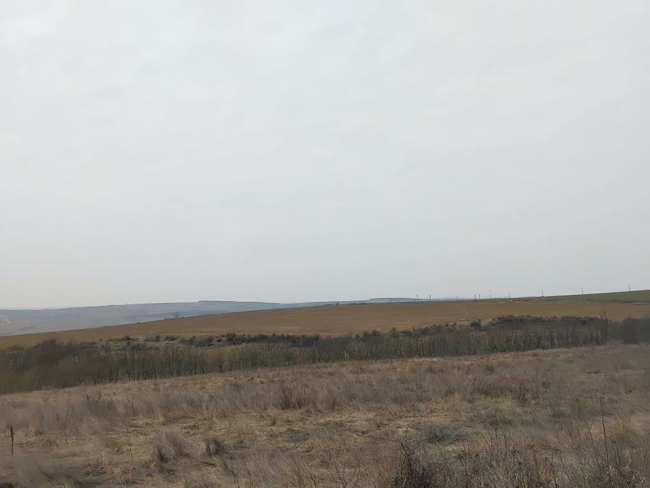 Teren 12 ha DN11A Podu Turcului–Căbești/ideal fermă,hale,fotovoltaic