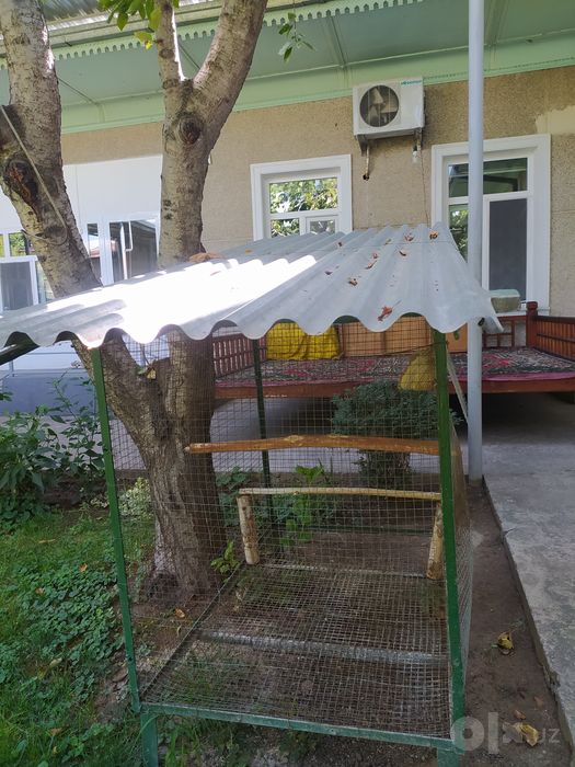 Qafas valer zor..
