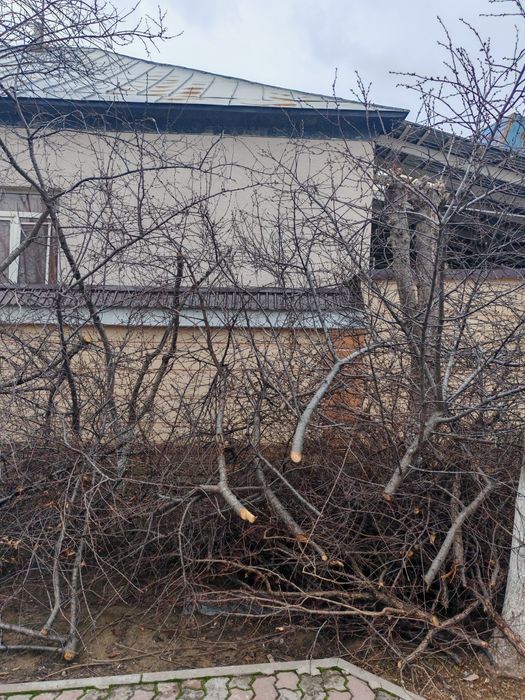 Отын бар, драва есть