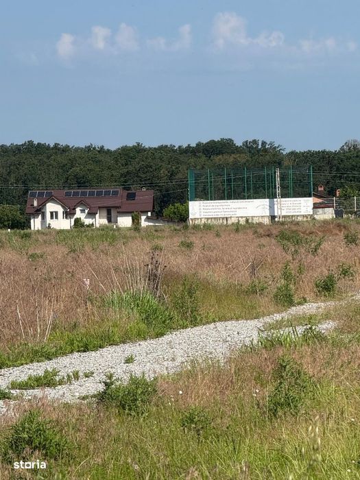 Vanzare Teren Rezidential Branesti 1000mp