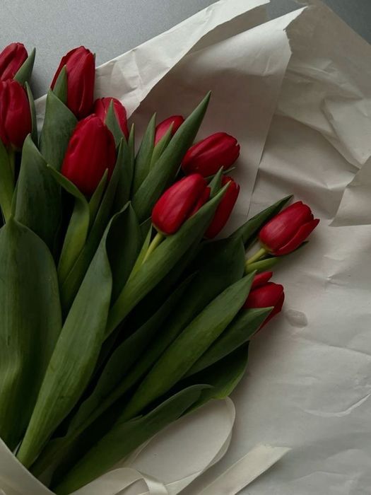 Тюльпаны премиум класса на 8 Марта!