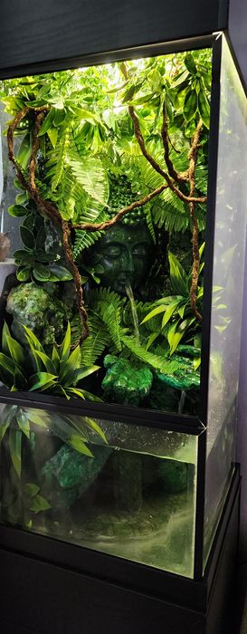 Терариум/палудариум