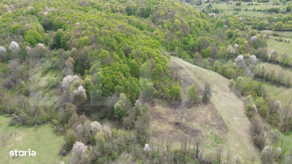Teren extravilan 3.38 ha, zona naturala superba, Almasu Mare