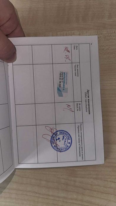 Продается  хаски