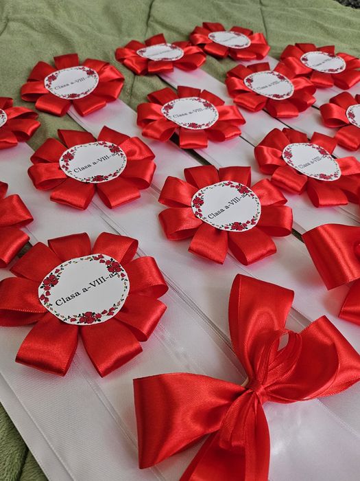 Panglici ,cocarde clasa a-VIII-a 25 Lei