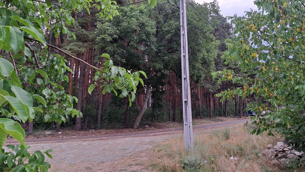 Teren zona de munte 130