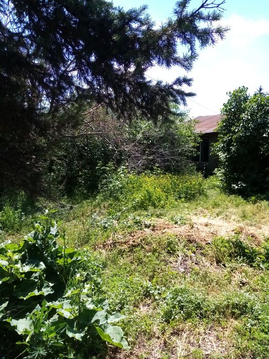 продам дом на левом беригу.