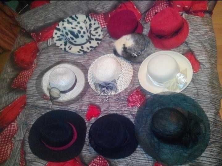 Palarie Palarii Basca Sapca Cipilica cu cozoroc de barbati sau dame femei, palarie de paie sau material subtire vara primavara, stil cowboy / cosplay