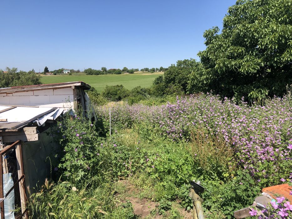 Косене на трева и поддръжка на дворове – Бургас