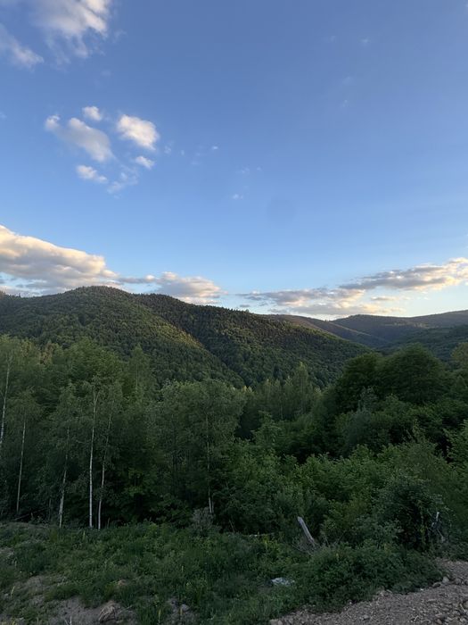 Teren de vanzare muntii  Apuseni
