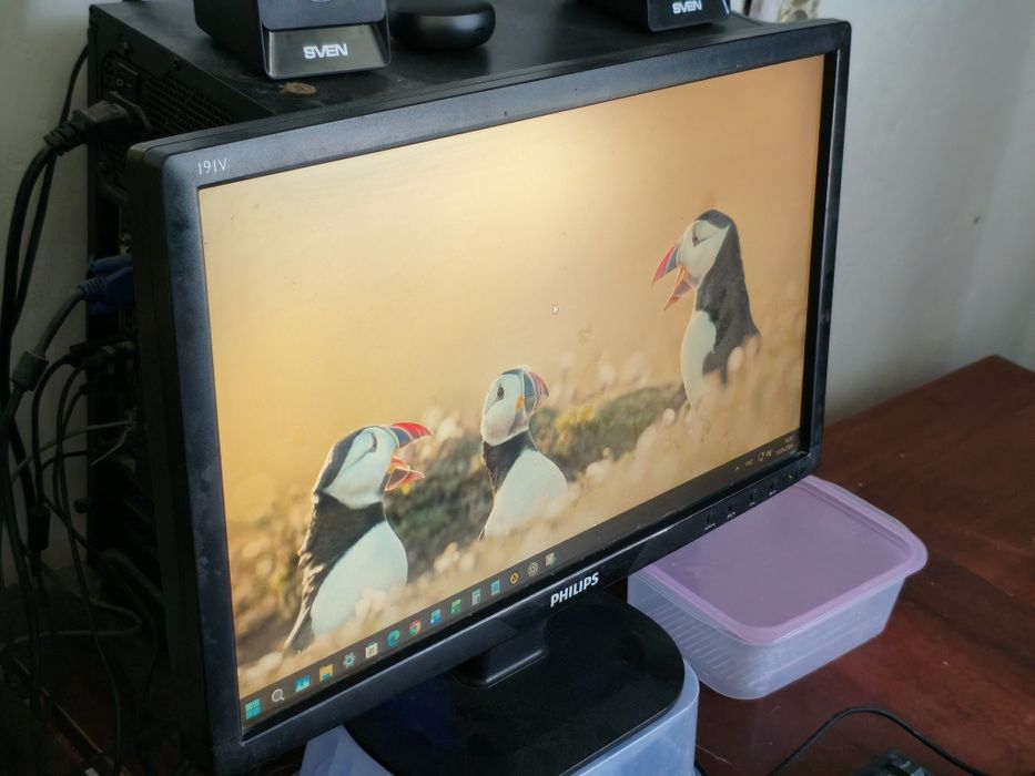 Монитор Phillips 191V, 19", продам