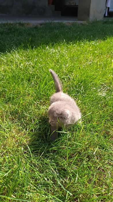 Бронируем,Веслоущки..