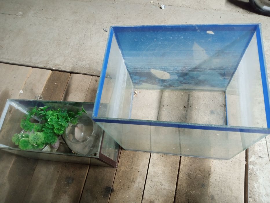 Продажа аквариумы.