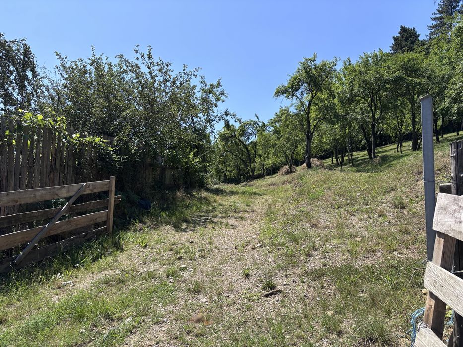 Teren intravilan in centru Garcina, jud.Neamt - Vedere 5