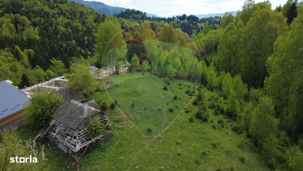 Teren 38,704mp Sirnea | 2.000 mp Intravilan | 36,704 Extravilan