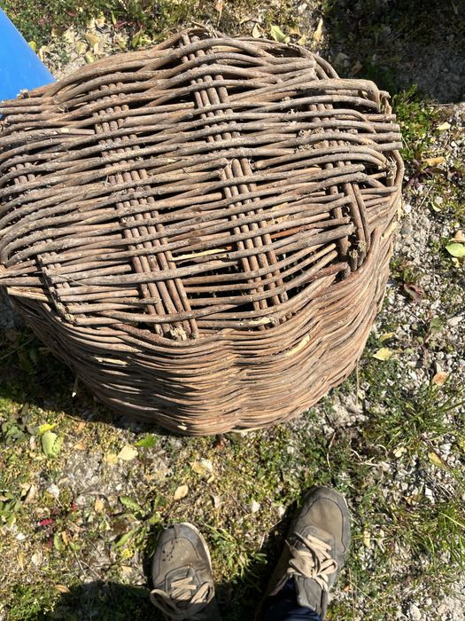 Стара Кошница два броя