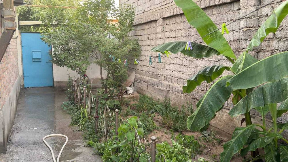 Жилой дом + участок под бизнес