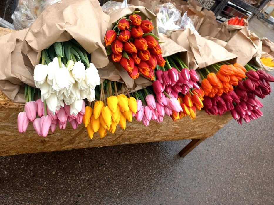 Тюльпаны оптом Алматы