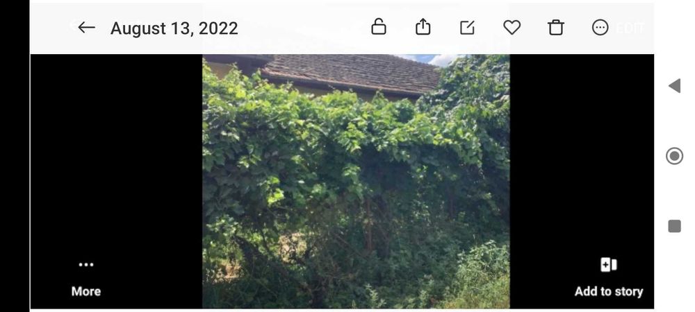 Casa si teren , comuna Poiana Mare, sat Tunarii Vechi