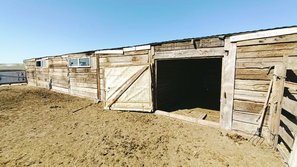 Продам хозяйства