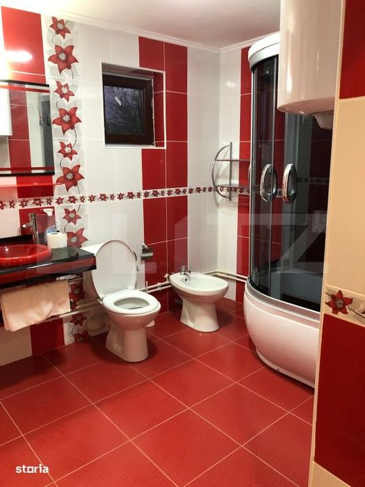 Doua case, spatiu comercial, casa tip pensiune Goicea Dolj