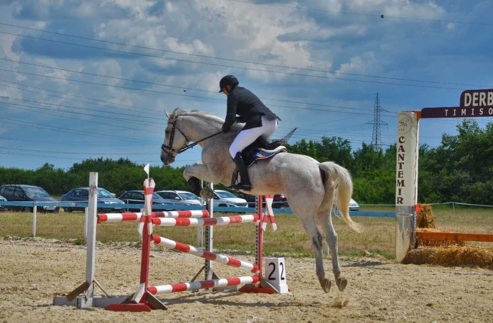 Cal de proba completă, de vanzare